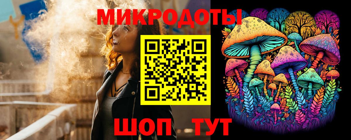 Псилоцибиновые грибы Cubensis Осинники